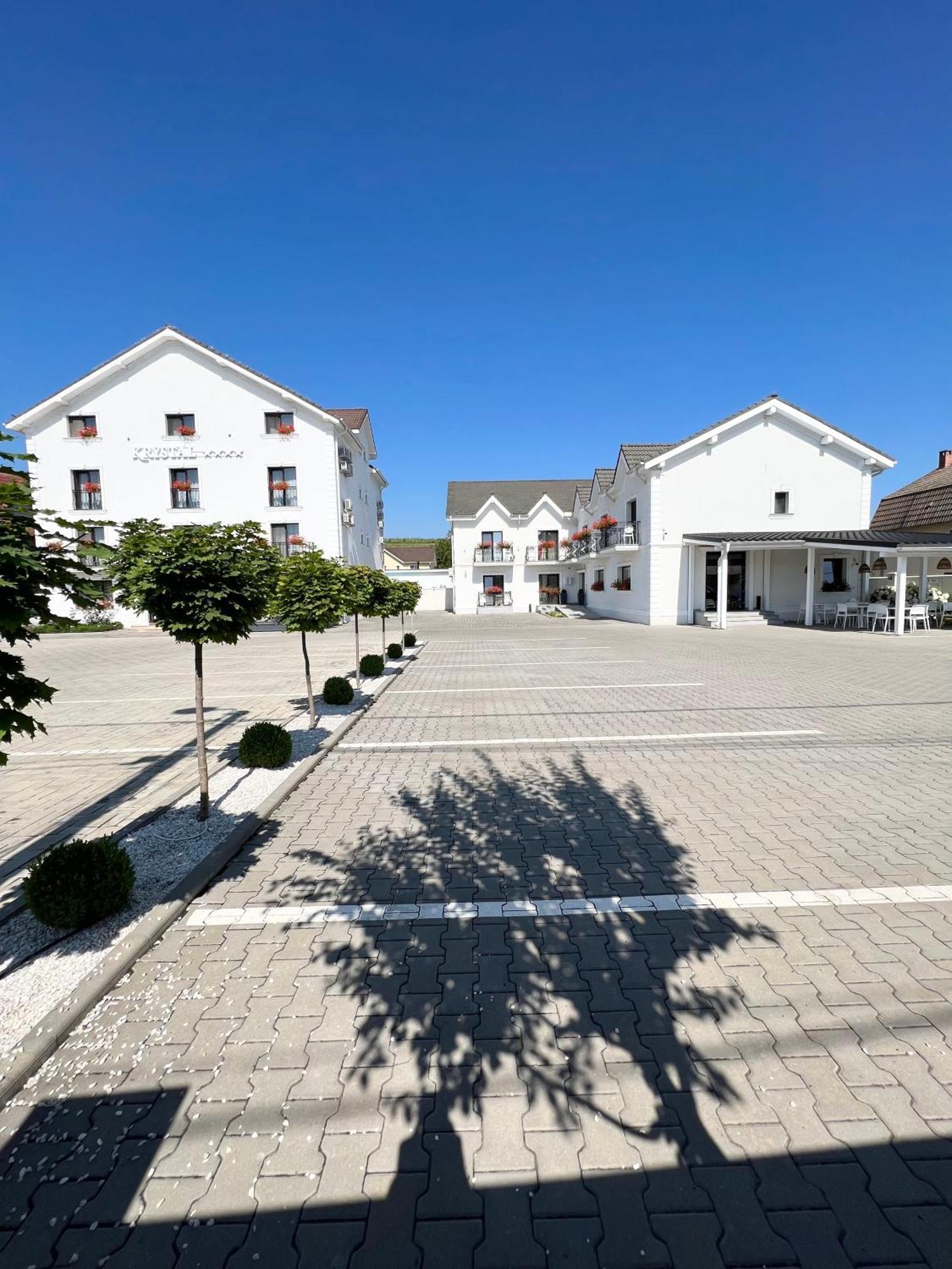 Отель Krystal Boutique Mansion Хунедоара Экстерьер фото