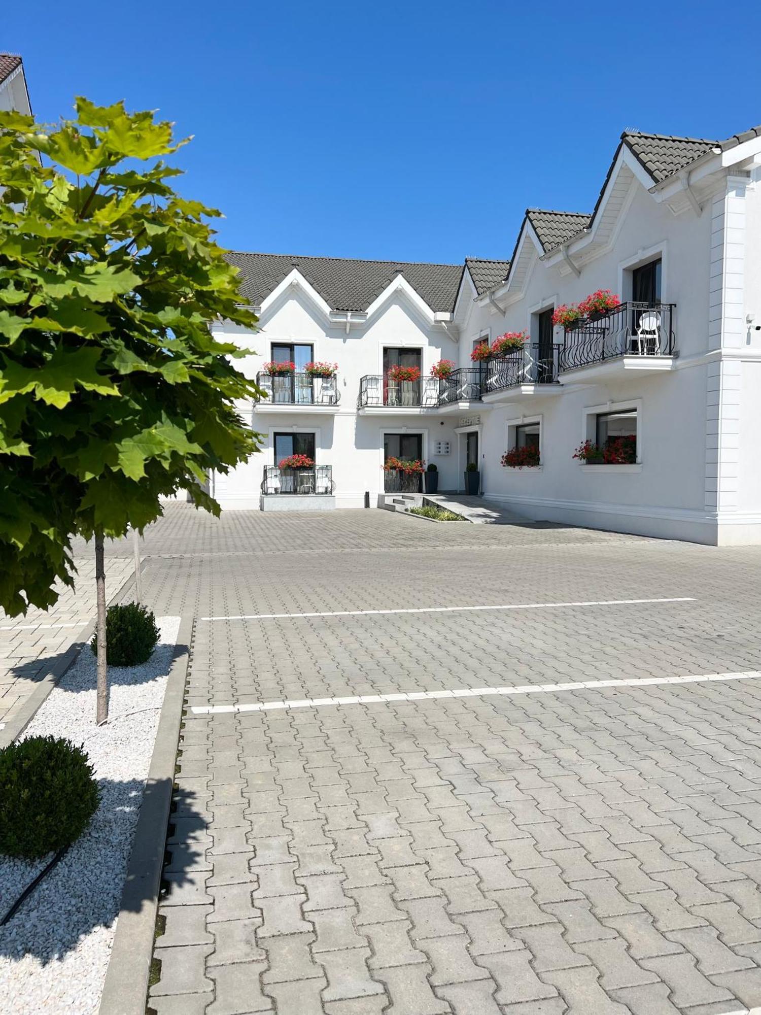 Отель Krystal Boutique Mansion Хунедоара Экстерьер фото