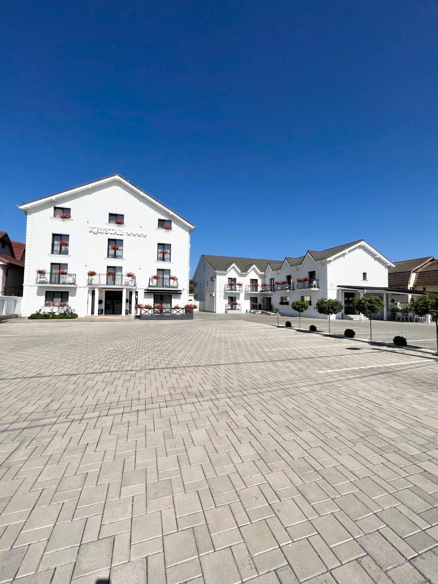 Отель Krystal Boutique Mansion Хунедоара Экстерьер фото